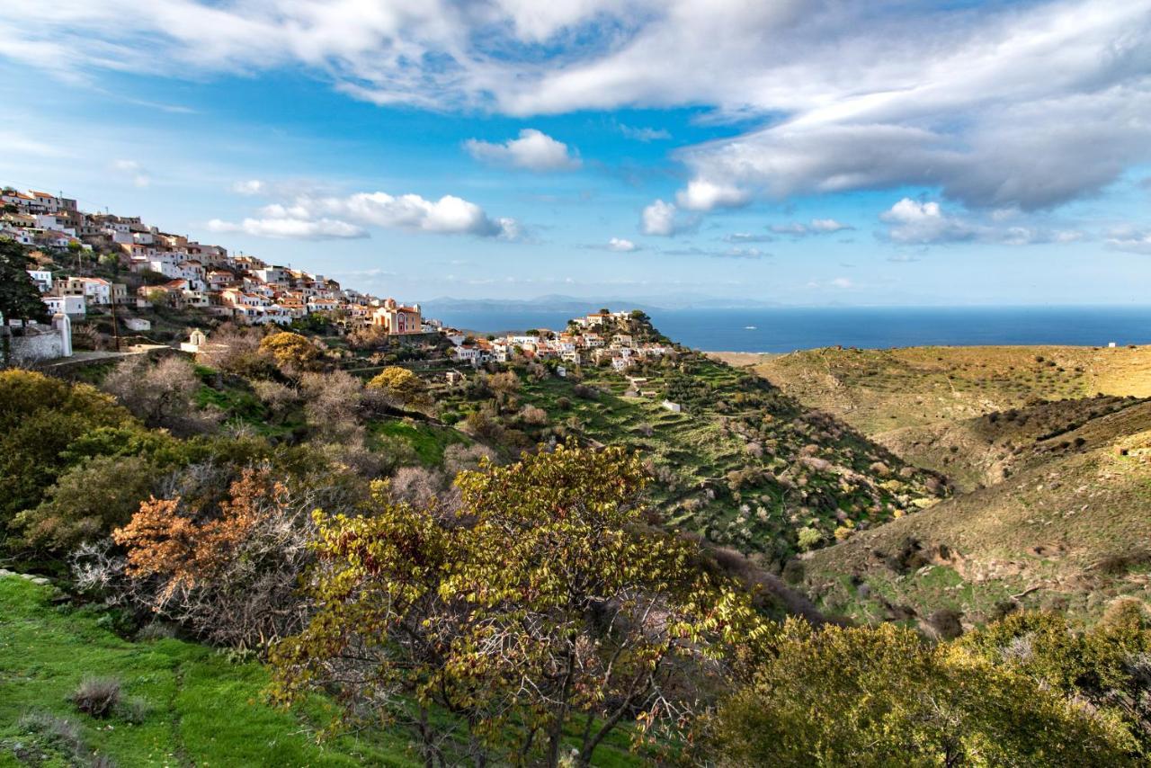 Вілла Under Royal Oaks Pera Meria Екстер'єр фото