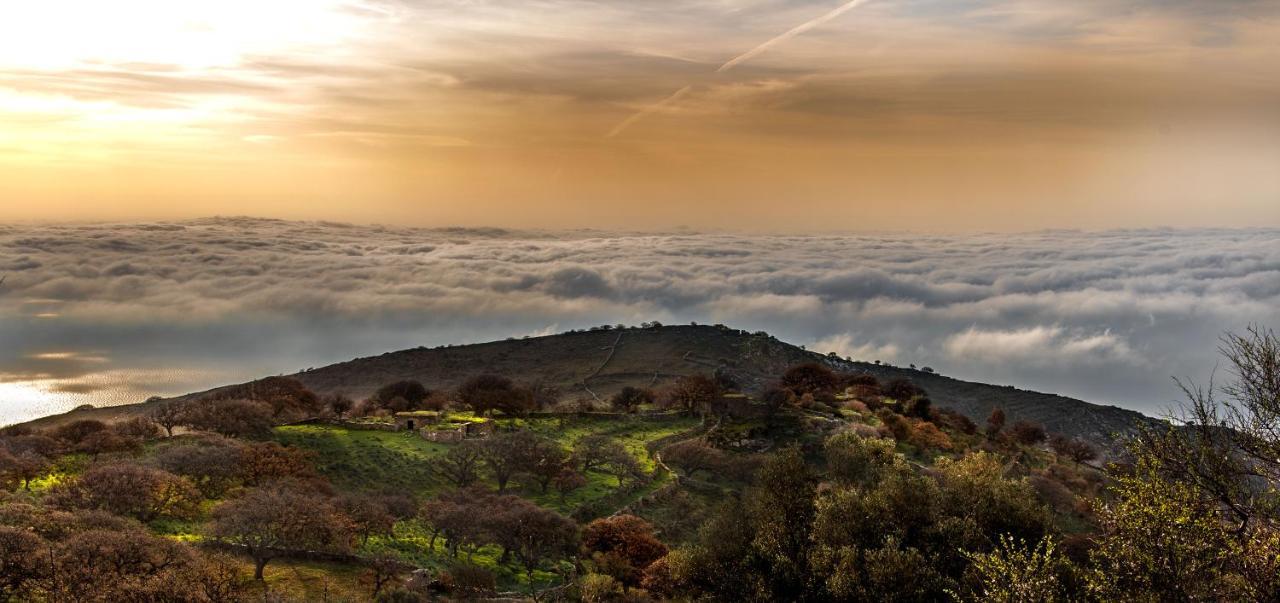 Вілла Under Royal Oaks Pera Meria Екстер'єр фото