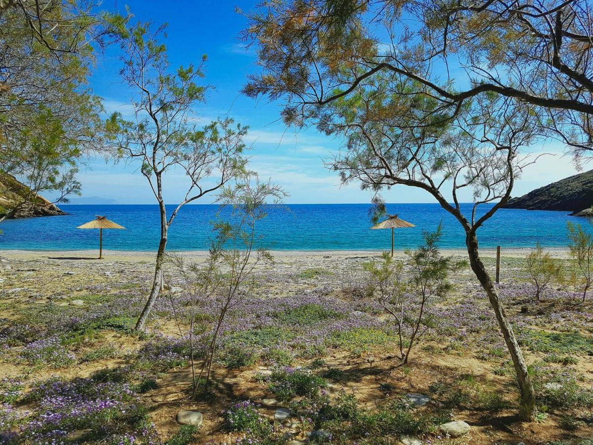 Вілла Under Royal Oaks Pera Meria Екстер'єр фото
