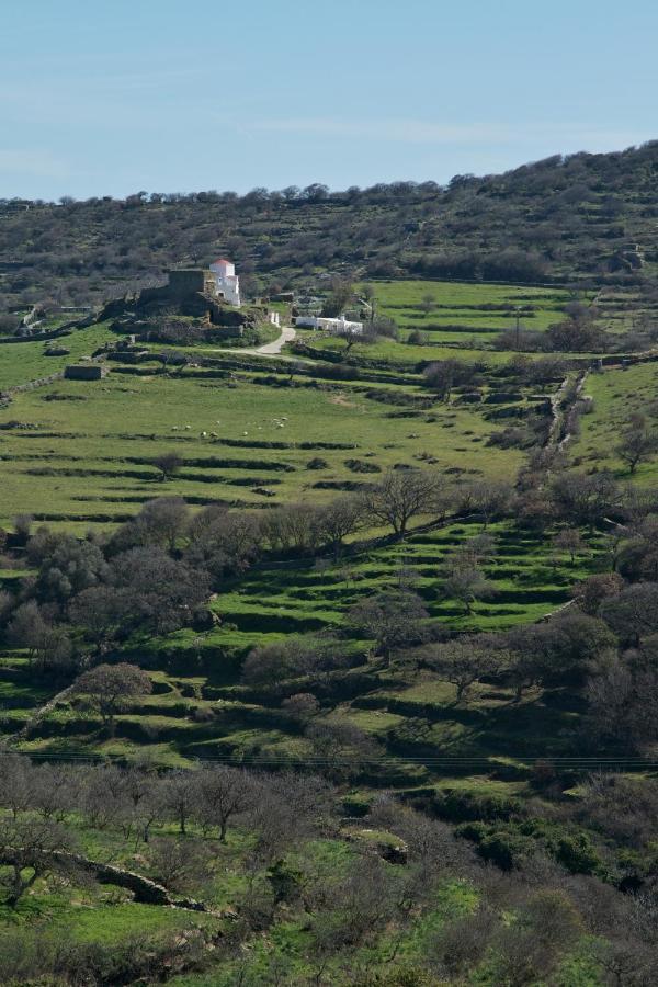 Вілла Under Royal Oaks Pera Meria Екстер'єр фото