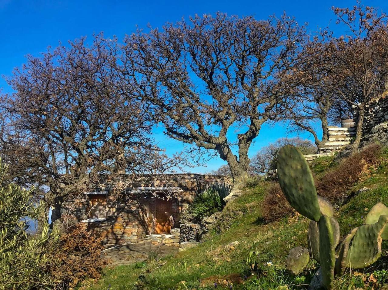 Вілла Under Royal Oaks Pera Meria Екстер'єр фото